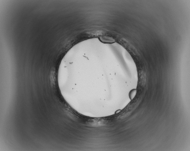 X0000112480612200909141145