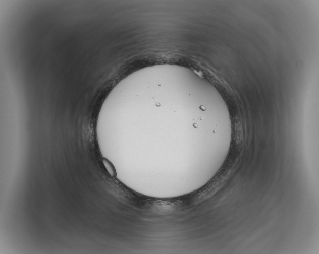 X0000112480613200909141145