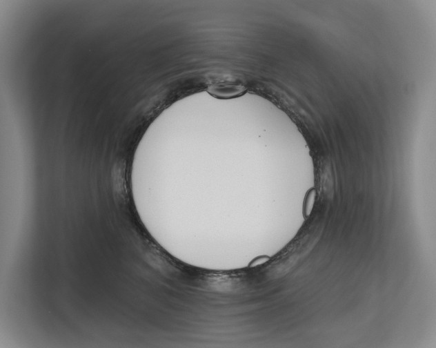 X0000112480616200909141145