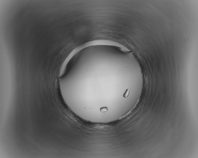 X0000112480617200909141145