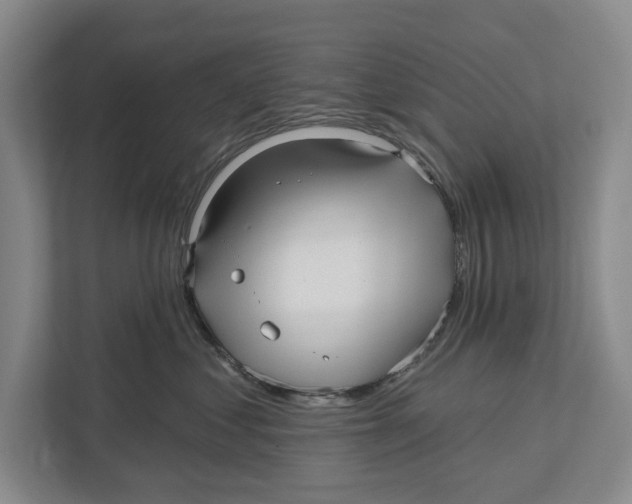 X0000112480621200909141145