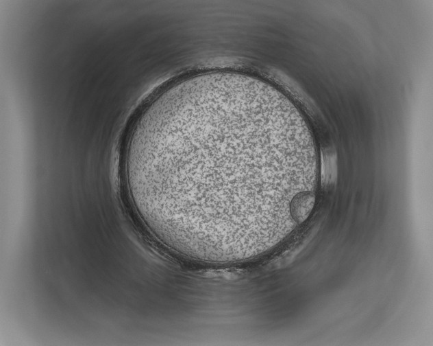 X0000112480627200909141144