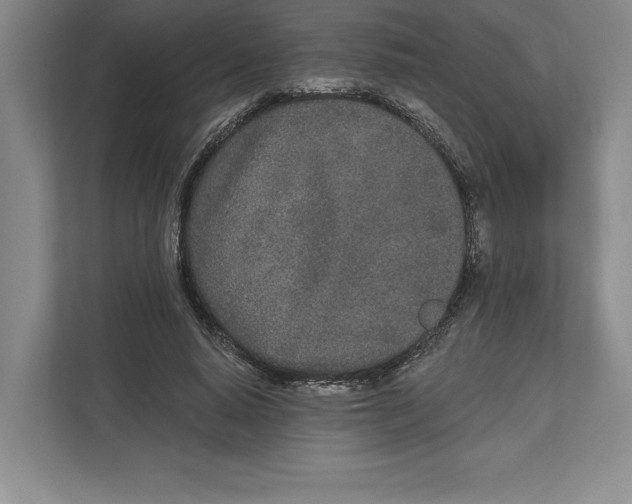 X0000112480640200909141144