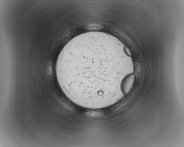 X0000112480655200909141144