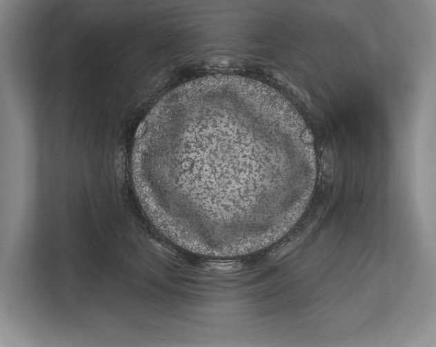 X0000112480659200909141144