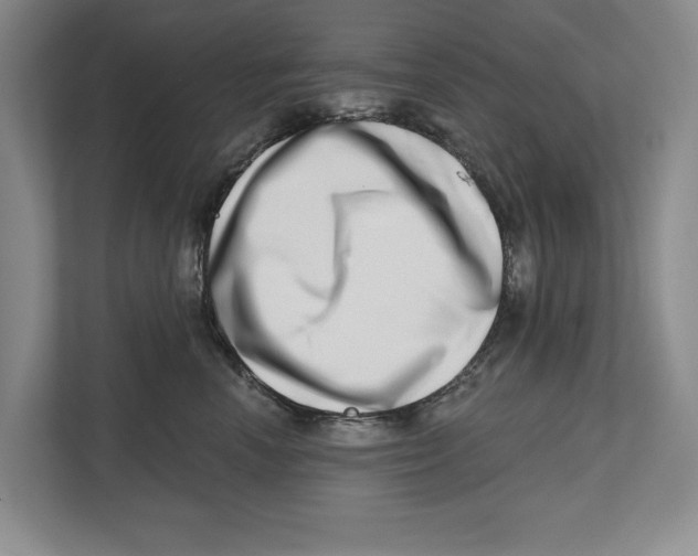 X0000112480666200909141144