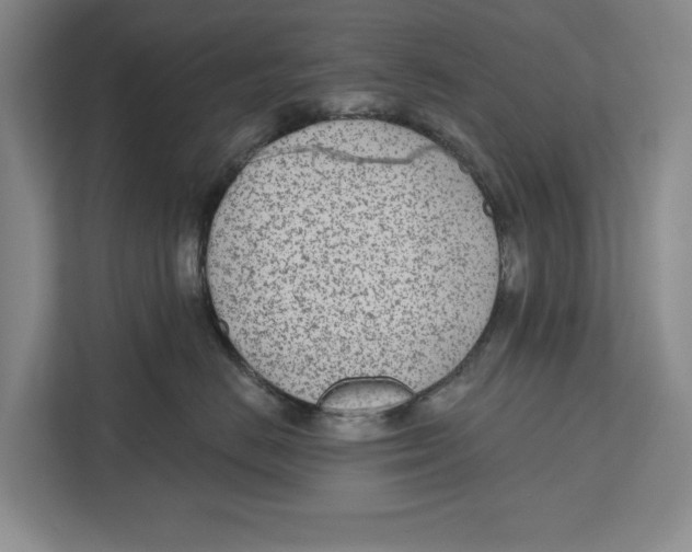 X0000112480670200909141145