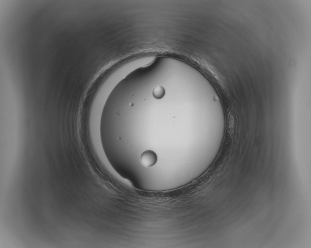 X0000112480684200909141144