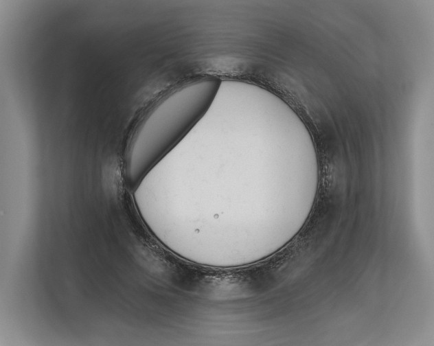 X0000112480688200909141144