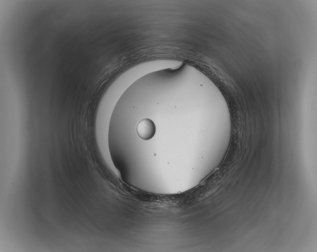 X0000112480696200909141144