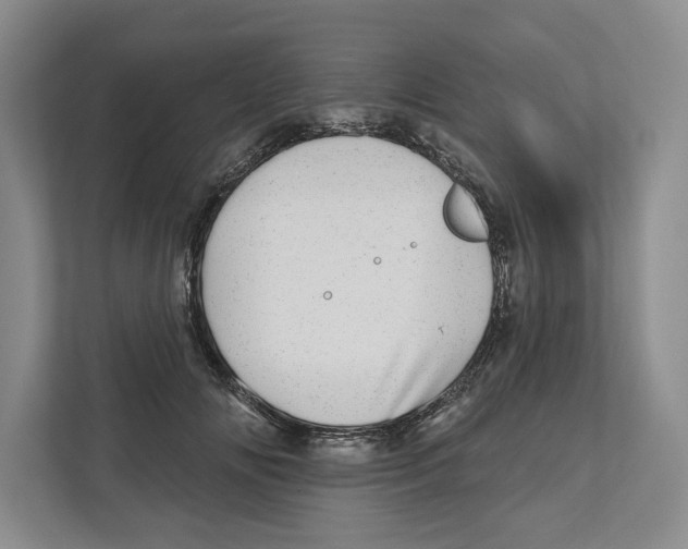 X0000112480702200909141144