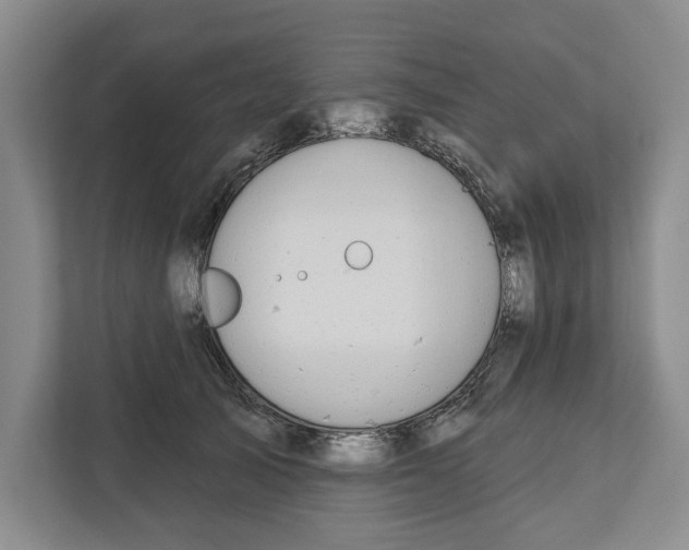 X0000112480705200909141144