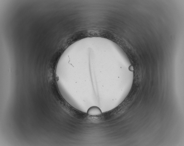 X0000112480706200909141144