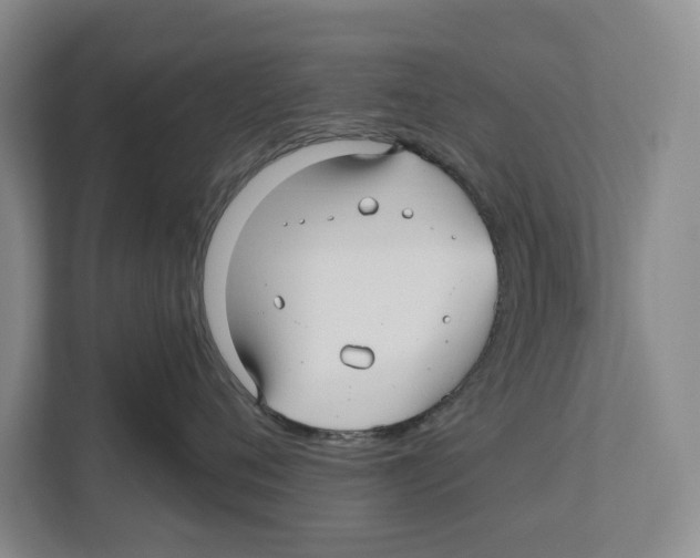 X0000112480720200909141143