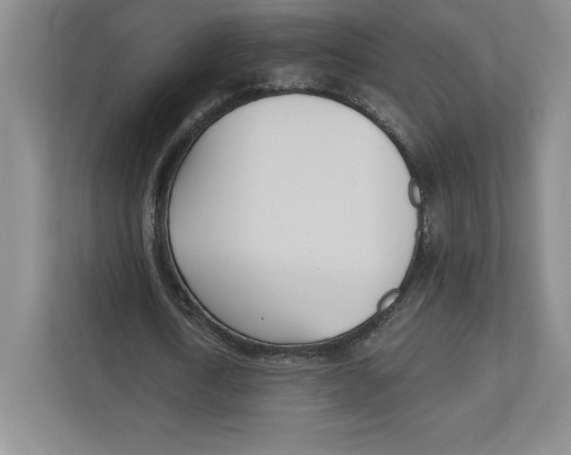 X0000112480722200909141143