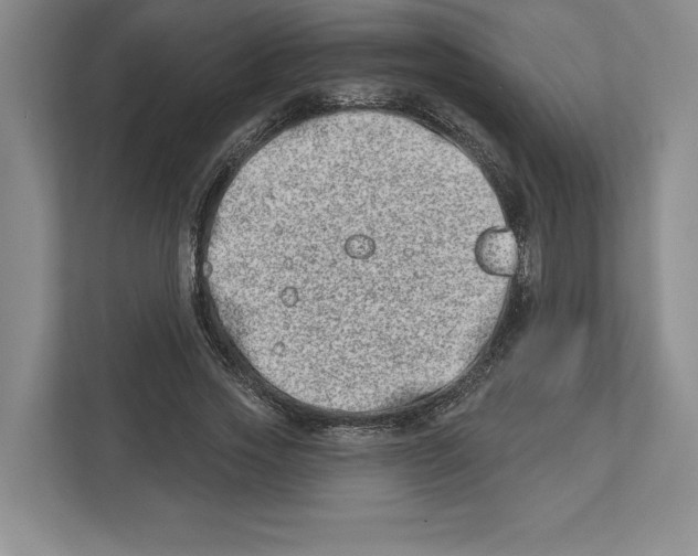 X0000112480733200909141143