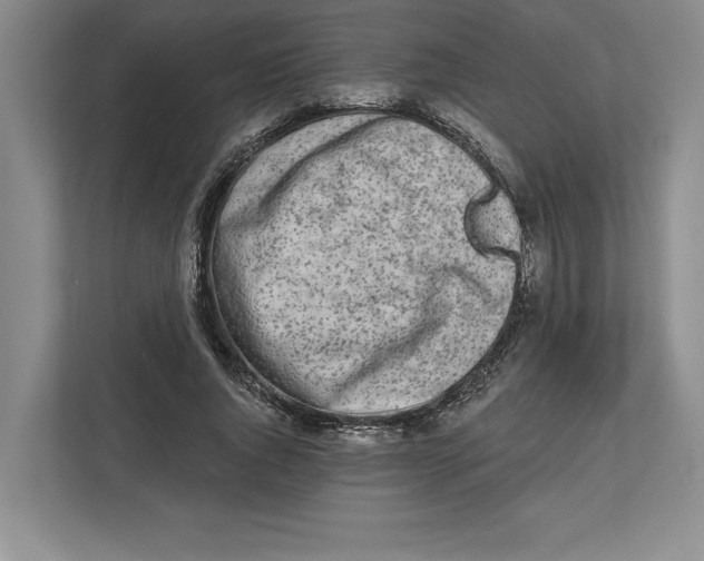 X0000112480736200909141143