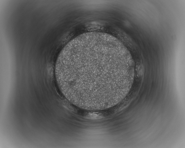 X0000112480753200909141143