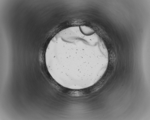 X0000112480755200909141143