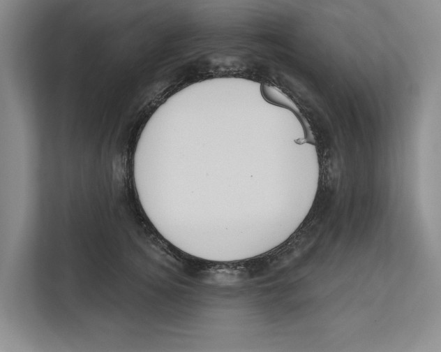 X0000112480756200909141143