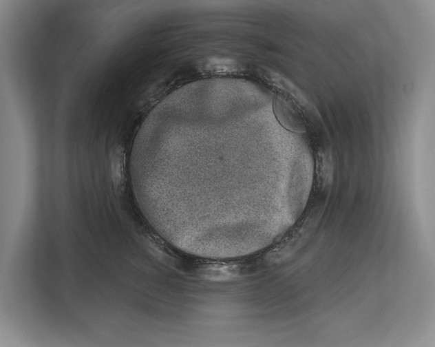 X0000112480760200909141143