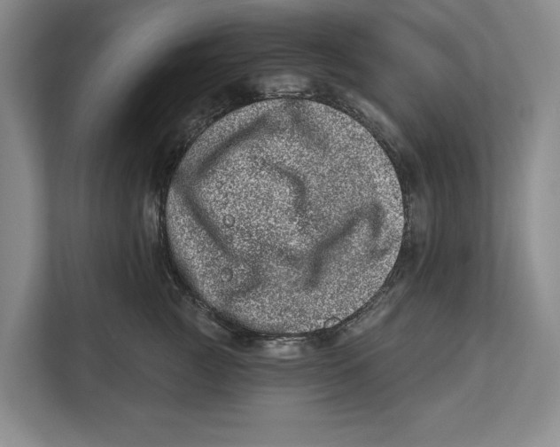 X0000112480761200909141143