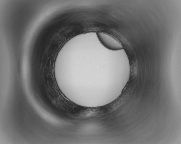 X0000112480764200909141143