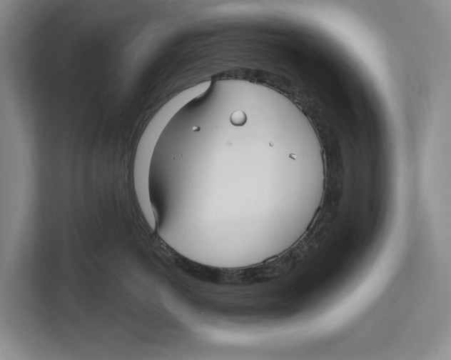 X0000112480766200909141143