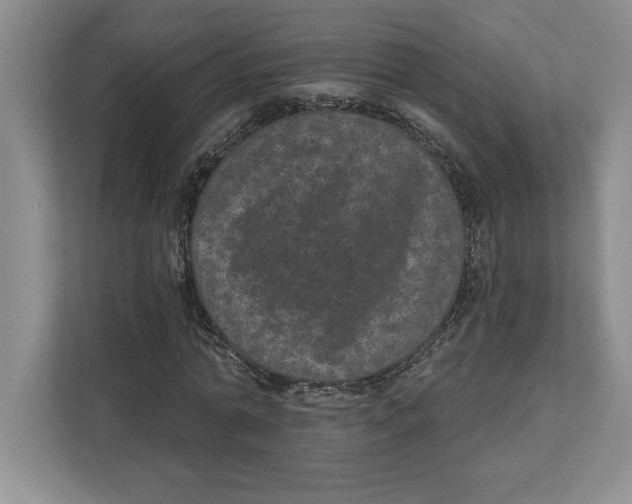 X0000112480774200909141143