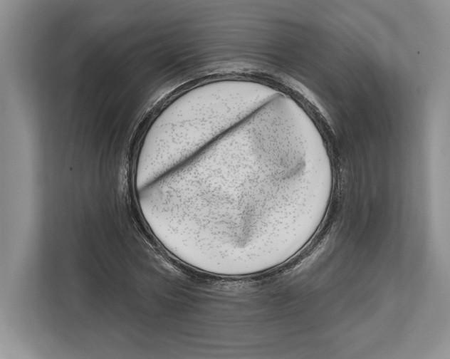 X0000112480778200909141143