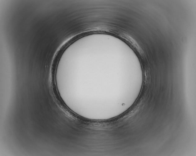 X0000112480780200909141143