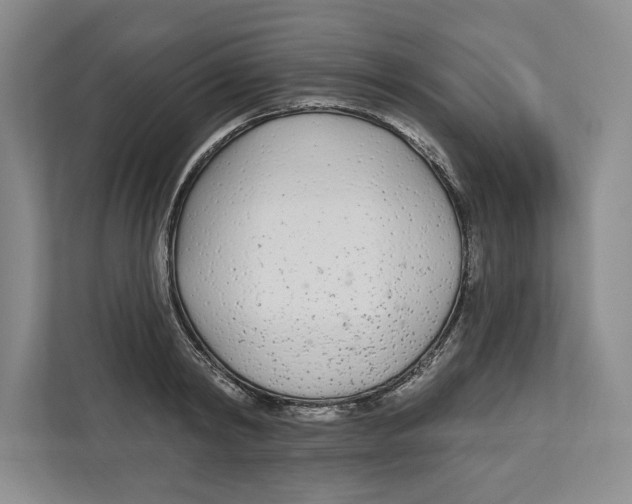 X0000112480798200909141142