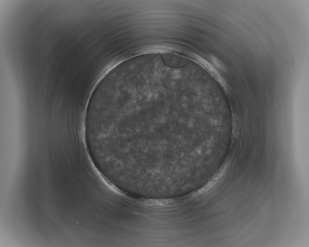 X0000112480802200909141142