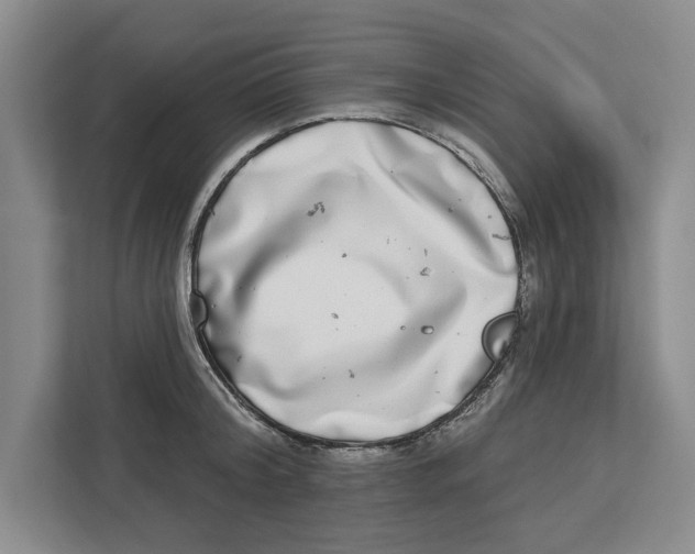 X0000112480804200909141142