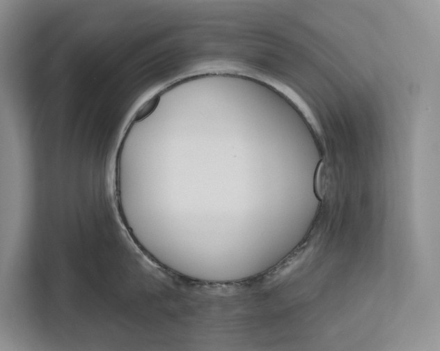 X0000112480815200909141142