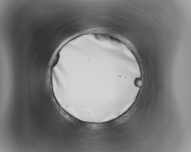 X0000112480816200909141142