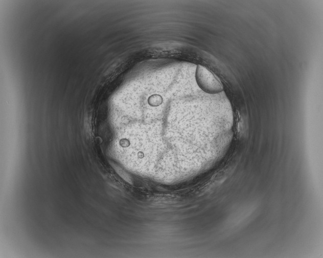 X0000112480819200909141141