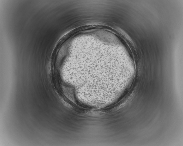 X0000112480831200909141142