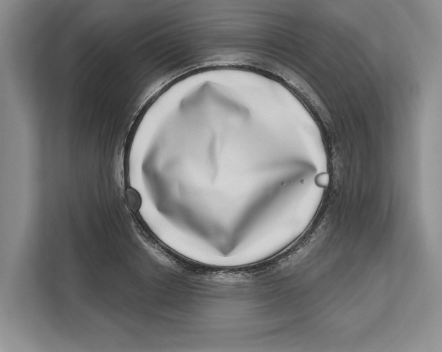 X0000112480842200909141142