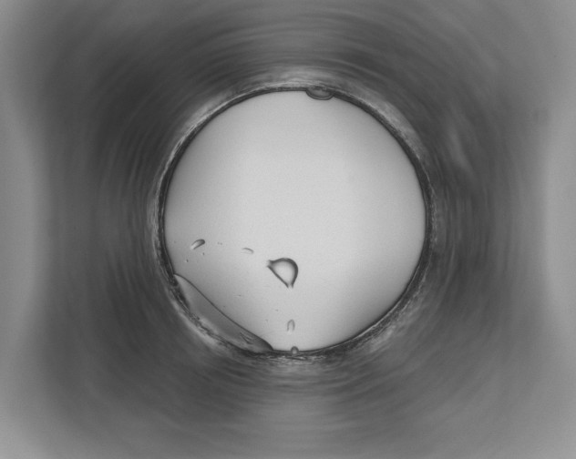 X0000112480850200909141142