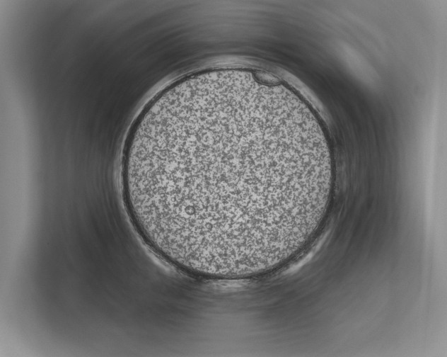 X0000112480853200909141142