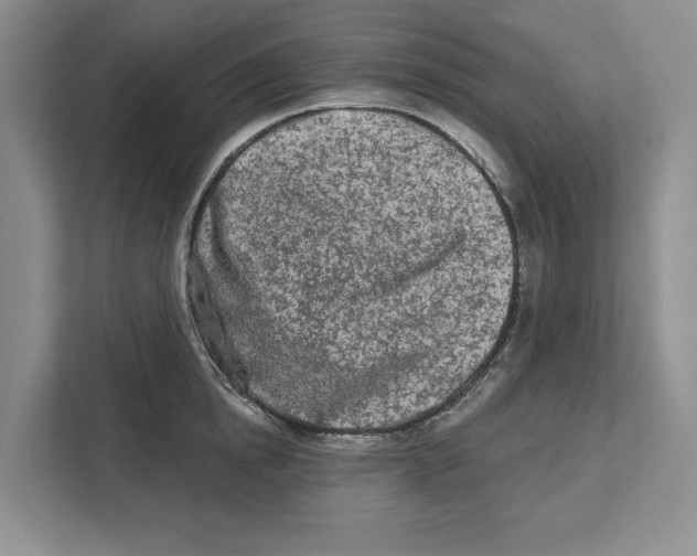 X0000112480854200909141142