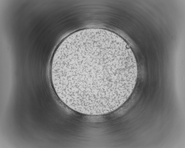 X0000112480856200909141142