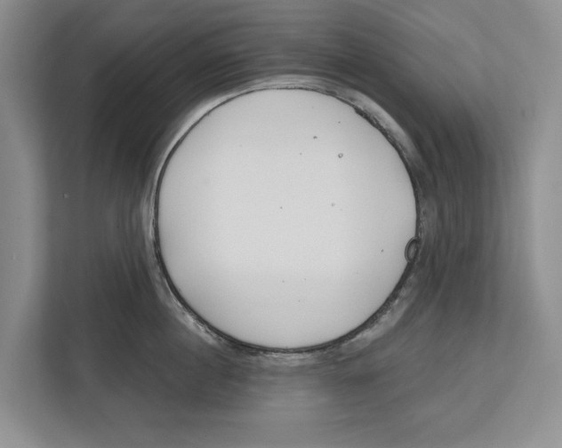 X0000112480860200909141142