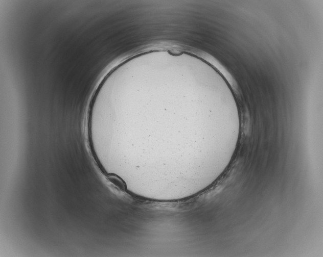 X0000112480861200909141142