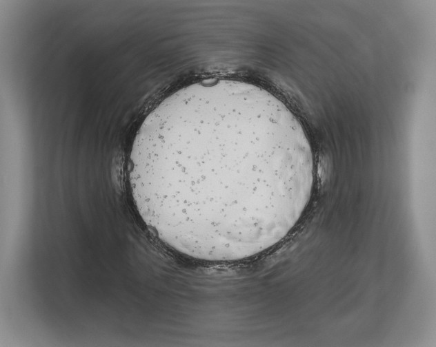 X0000112480867200909141141