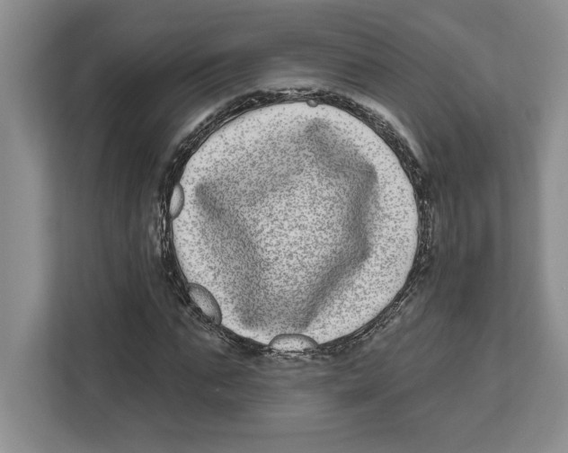 X0000112480871200909141141