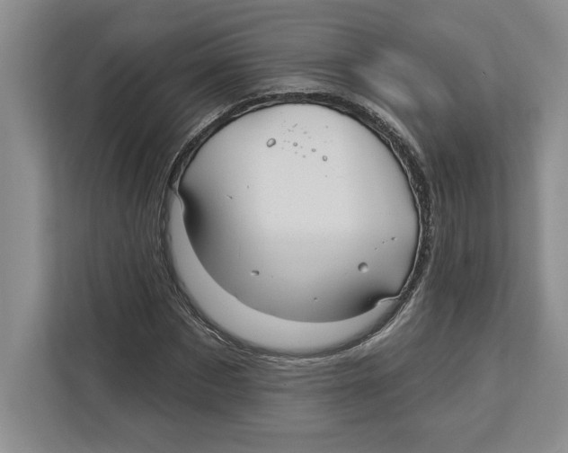 X0000112480873200909141141