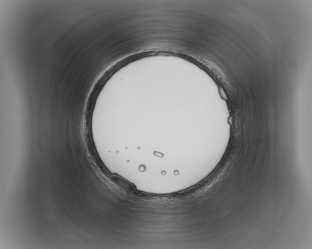 X0000112480880200909141141