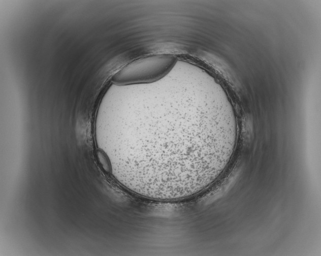 X0000112480881200909141141